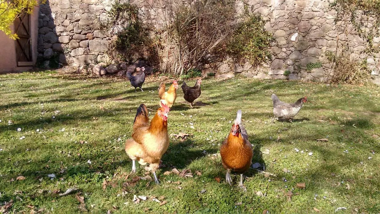 El Molí d'en Solà-Allotjaments rurals La Vall de Bianya