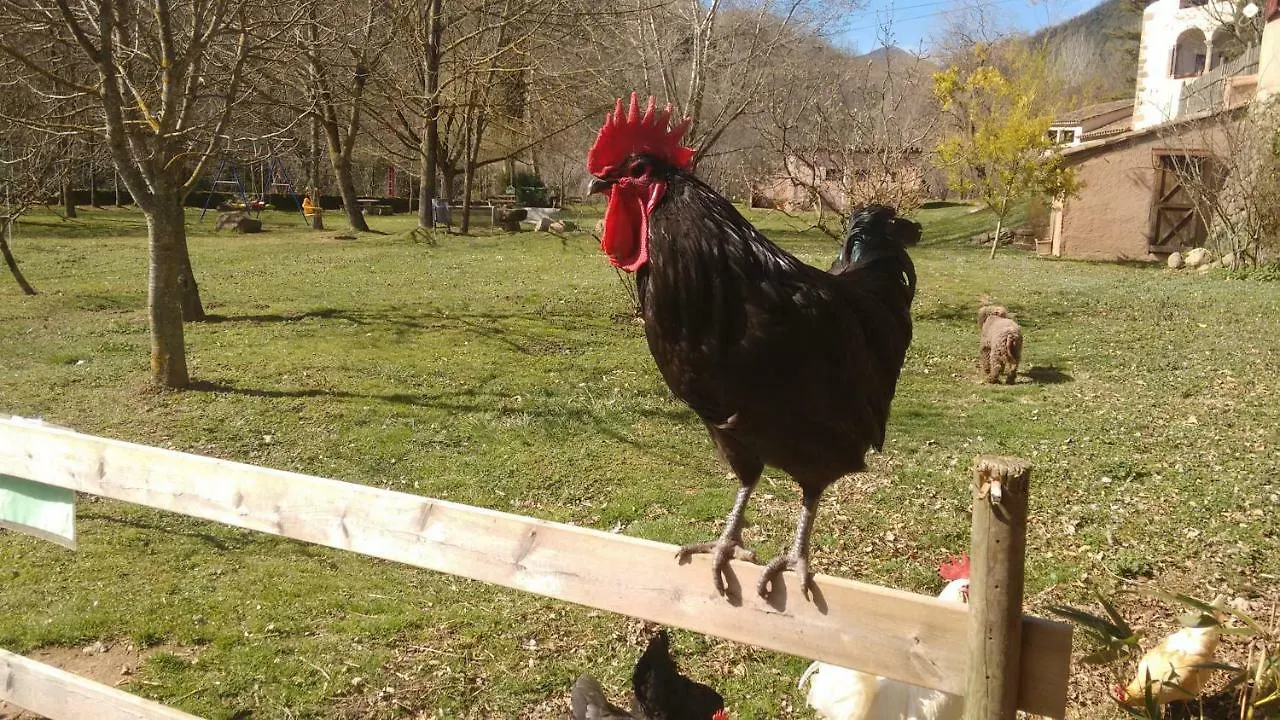 El Molí d'en Solà-Allotjaments rurals La Vall de Bianya 0*,